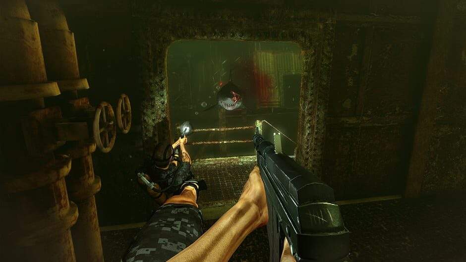 wwlag9jjtnt3fg3un1zz