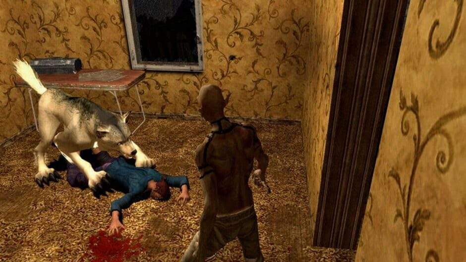 touscumdyispwjwgvp9g