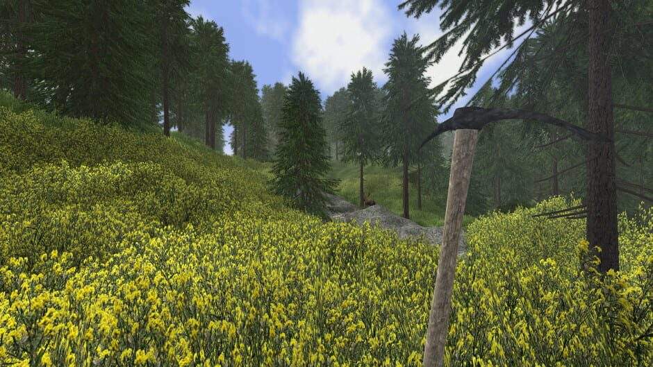 z1piofggwm29ja1xjxzf