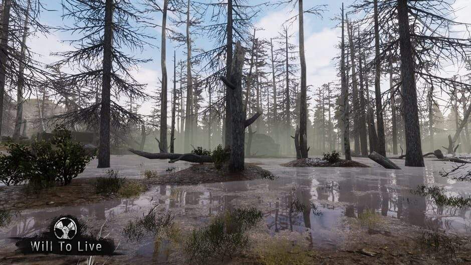 orr1anaekbvbctqt6qzm