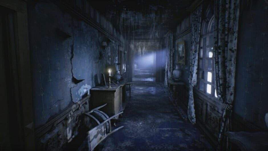 nlscg8nsa0skyvoevovs