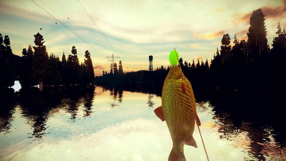 ydn32yjmjhbpqsqwdwxc