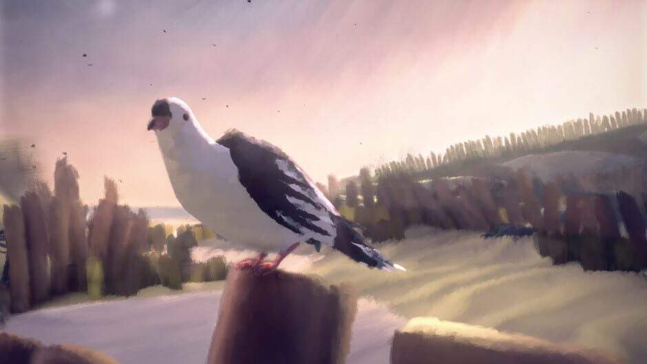 zw5chvern7x4ty6go8fy