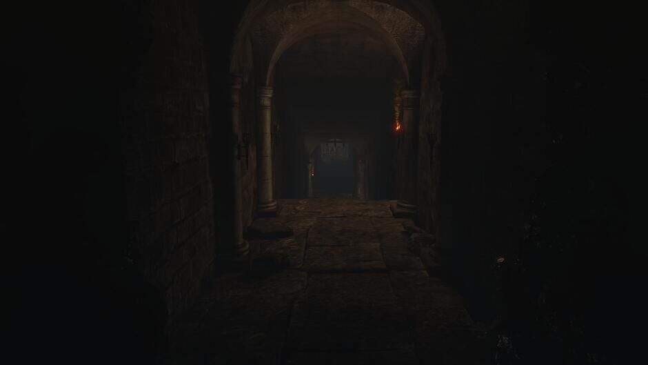 dtmwcr2ymegjurfw6w6n