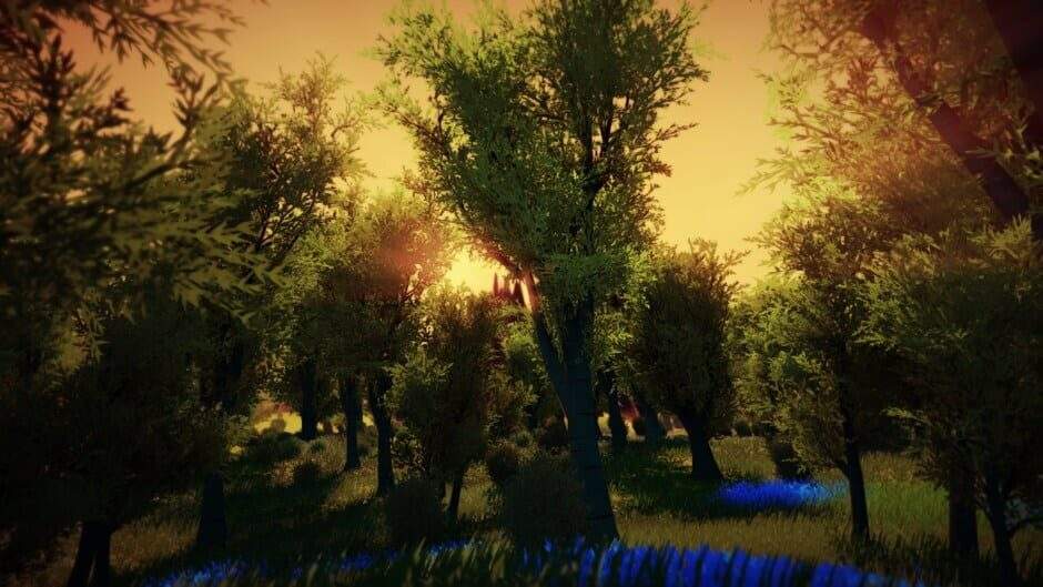 e50cqynnjxry7qxjl9r6