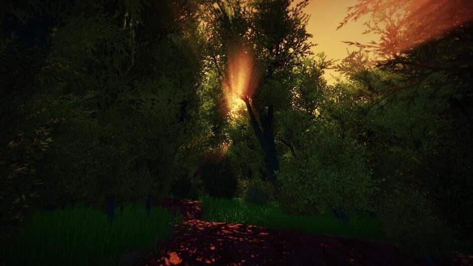 tyr65cjqk7q3yev6cw6b