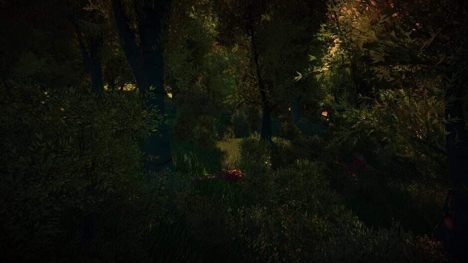 bwh0ypjtisrnxvcq0pgd